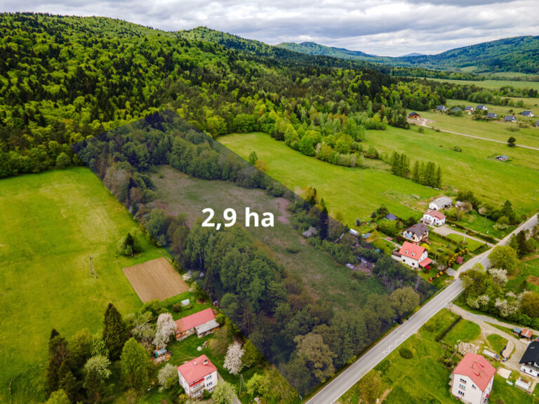 Działka inwestycyjna 2,9 ha&nbsp;Wysowa Zdrój/ Hańczowa