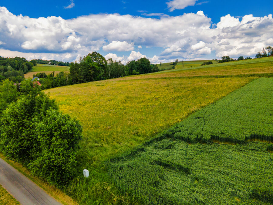 Atrakcyjne działki budowlane – Polna (gm. Grybów)